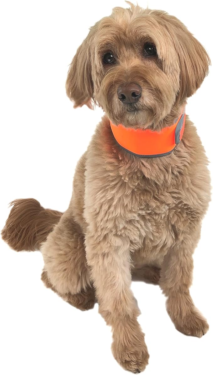 Hi-Vis Dog Cooling Collar - Orange Reflective Re-Freezable Ice Collar (Medium)