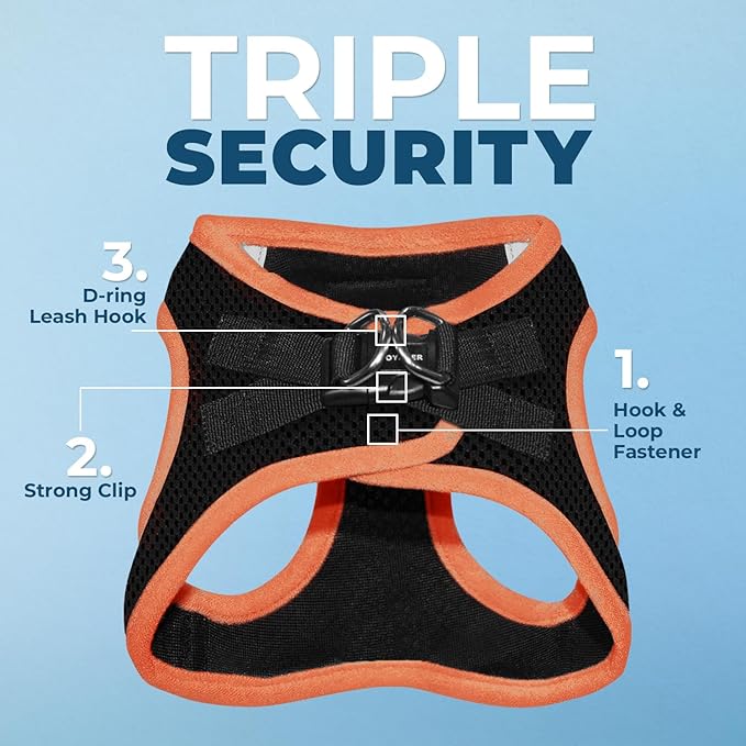 Voyager Step-in Air All Weather Mesh Harness and Reflective Dog 5 ft Leash Combo with Neoprene Handle, for Small, Medium and Large Breed Puppies by Best Pet Supplies - Black/Orange Trim, X-Large