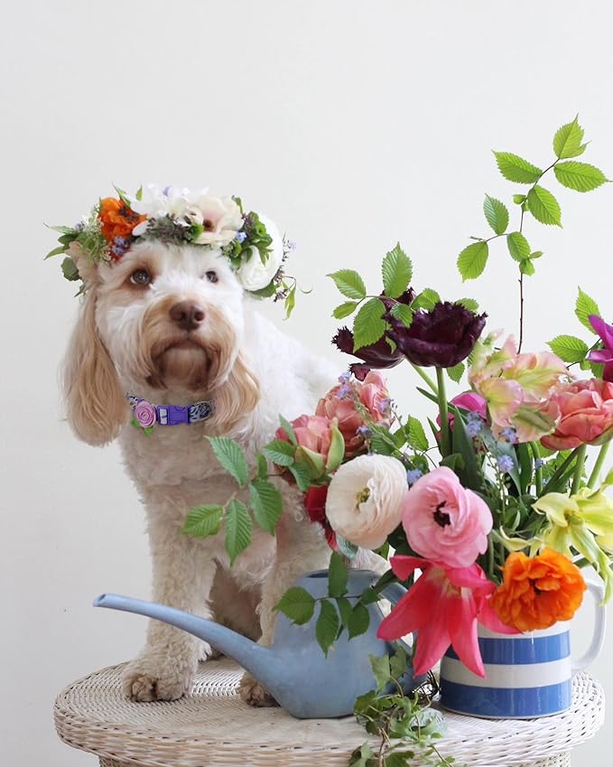 2 Pack Spring Dog Collar for Medium Dogs, Quick Release Floral Dog Collar Girl with Flower Bow