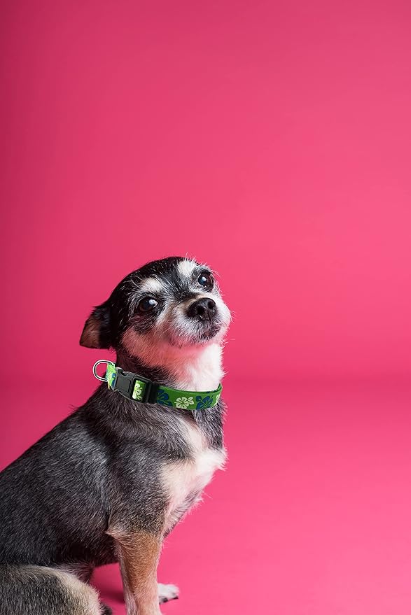 Dog Collar, Cute Floral Pattern, Soft and Adjustable Collar with Quick Release Buckle (XS (Neck 9-13", Width 3/8"), Hawaiian Green)