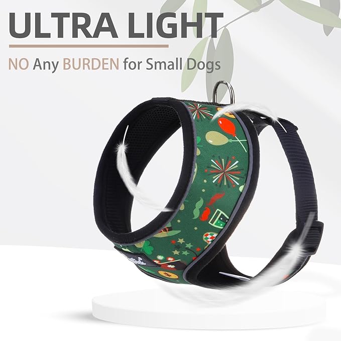 PUPTECK Soft Mesh Dog Harness and Leash Set Pet Puppy Cat Comfort Padded Vest No Pull Harnesses, St. Patrick's Deep Green, S