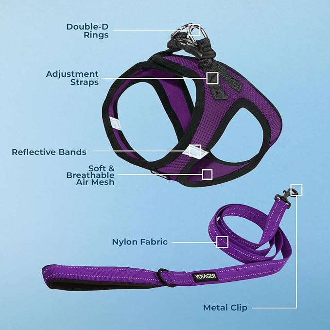 Voyager Step-in Air All Weather Mesh Harness and Reflective Dog 5 ft Leash Combo with Neoprene Handle, for Small, Medium and Large Breed Puppies by Best Pet Supplies - Purple/Black Trim, X-Small
