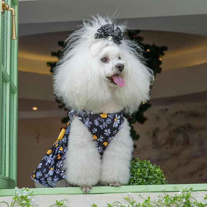 CuteBone Dog Mesh Dress Puppy Sundress Pet Outfit Summer Fashion for Small Dogs Girl Cat Clothes BF13L