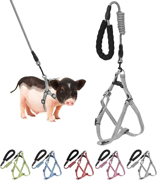 Mini Pig Harness, Adjustable Small Pig Harness with Leash Infinity Style Lead and Soft Foam Handle for Small to Medium Pet Pigs Walking Training Jogging (Gren, S)