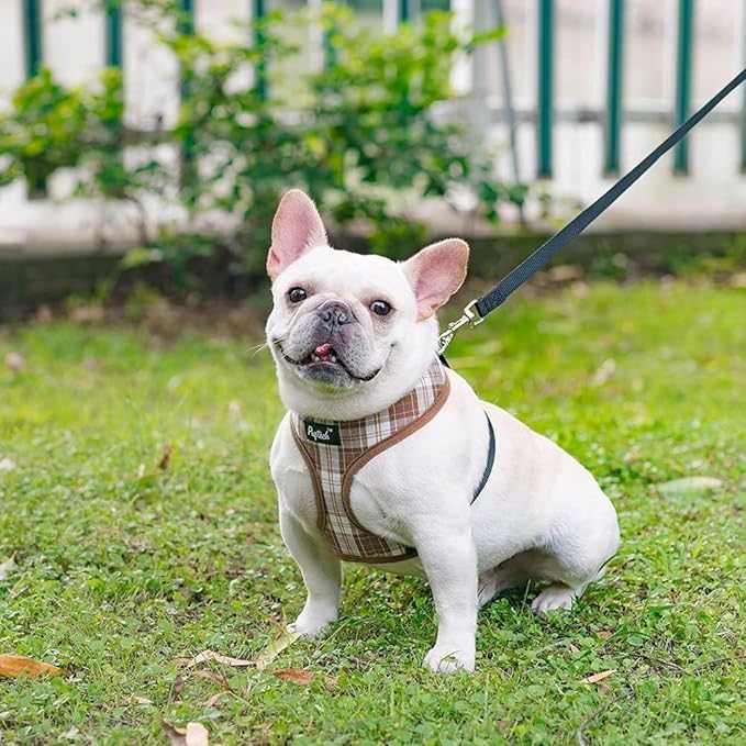 PUPTECK Soft Mesh Dog Harness and Leash Set Pet Puppy Cat Comfort Padded Vest No Pull Harnesses, Brown, XS