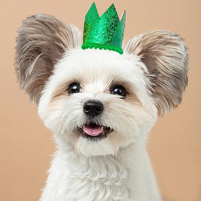 PET SHOW 10 Pack Mini Small Dog Crown Hat Dog Birthday Party Hats Adjustable Headband Hats Cat Rabbit Hats for Holiday Wedding Puppies Kittens Costume Accessories