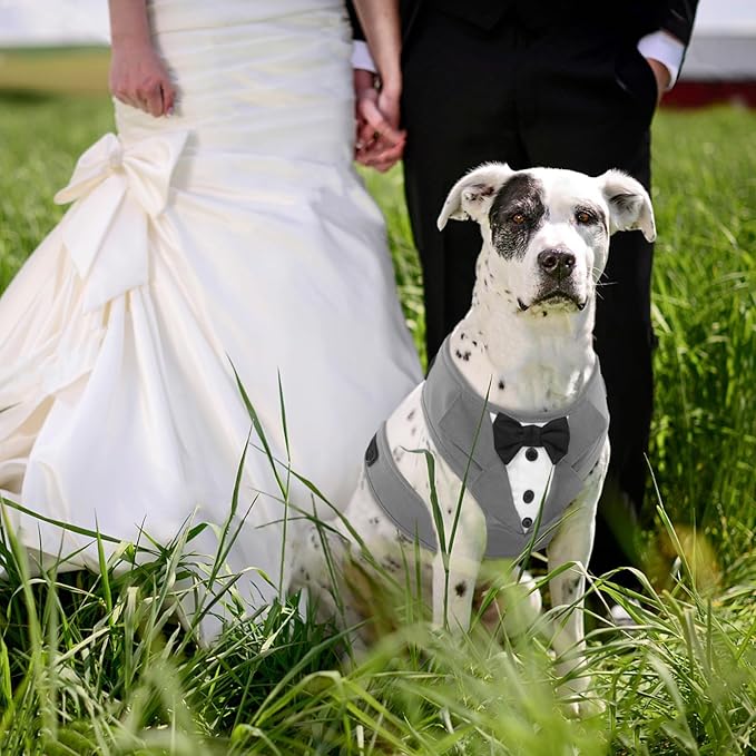 Kuoser Dog Tuxedo Harness, Adjustable No Pull for Small Medium Dogs, Wedding Suit with Bow Tie Party Costume, Gray XL