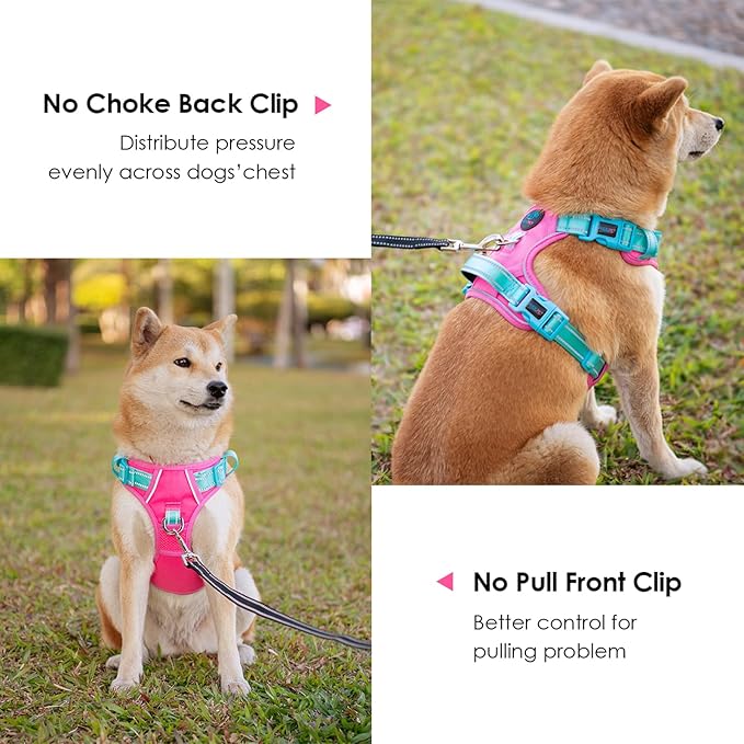 PHOEPET No Pull Dog Harness, Unique Colors Reflective Adjustable Dog Vest, with Soft Training Handle Metal Clips for Small Medium Large Dogs (Pink Base & Green Straps,L)