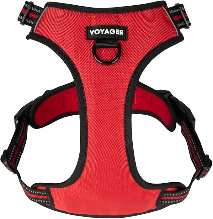 No Pull Dog Harness for Small Dogs, Dual Leash Attachments, Adjustable Soft but Strong Pet Harness with 3M Reflective Technology, Red Lattice Nylon, S (Chest: 16-20")