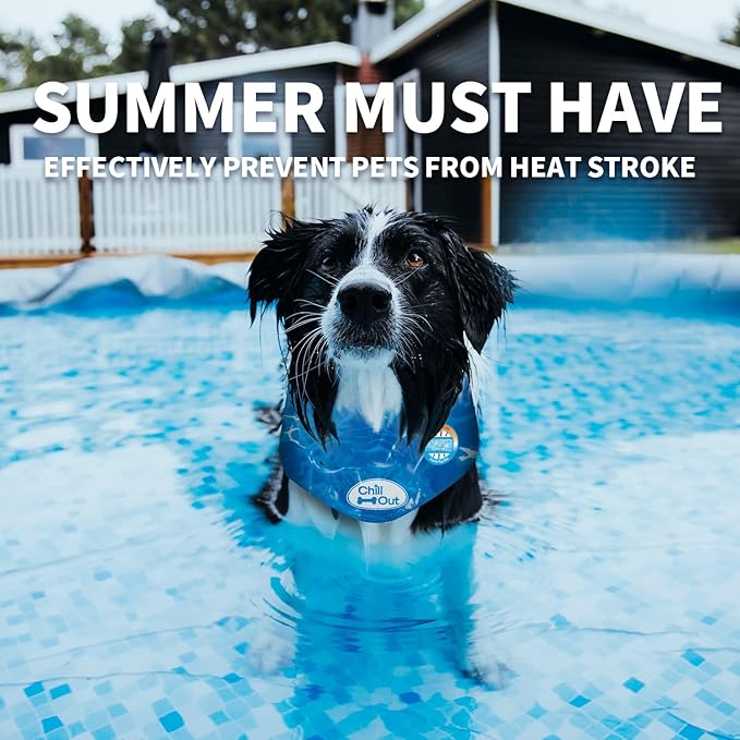 ALL FOR PAWS Chill Out Ice Bandana, Small