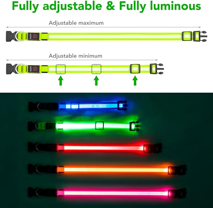 Vizpet LED Dog Collar, Light Up Dog Collar Adjustable USB Rechargeable Super Bright Safety Light Glowing Collars for Dogs(Large,Green)
