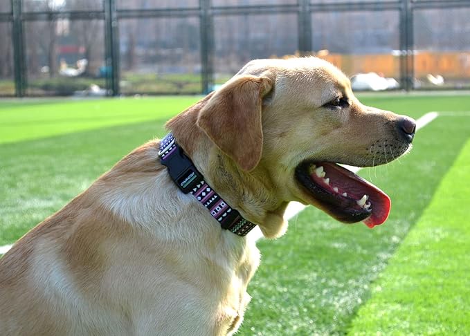 Dog Collar with Bohemia Floral Tribal Geometric Patterns - Soft Ethnic Style Collar Adjustable for Small Medium Large Dogs（Bohemian Purple,M）