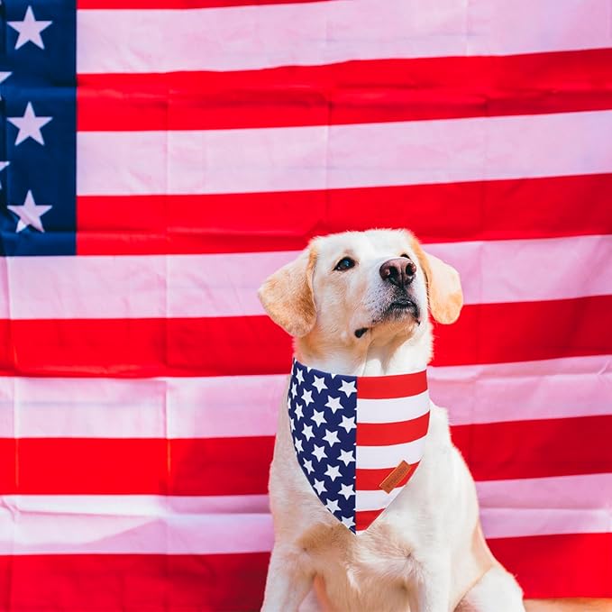 PTDECOR American Flag Dog Bandana 4th of July Dog Bandanas Reversible Triangle Patriotic Bandanas for Large and Extra Large Dogs Pets (Flag, X-Large)