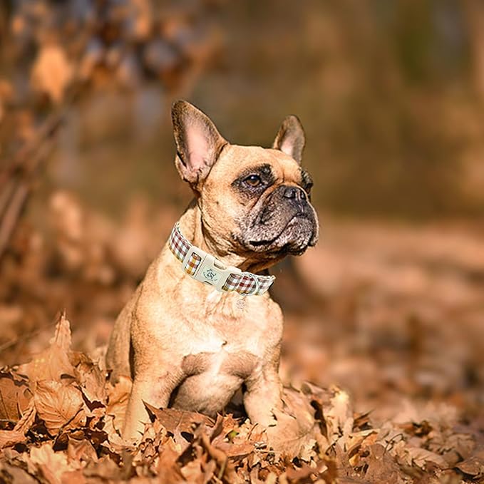 Elegant little tail Fall Dog Collar, Plaid Puppy Collars Fall Yellow Male Cute Puppy Adjustable Cotton Pet Collar with Quick Release Buckle for Small Medium Large Dogs