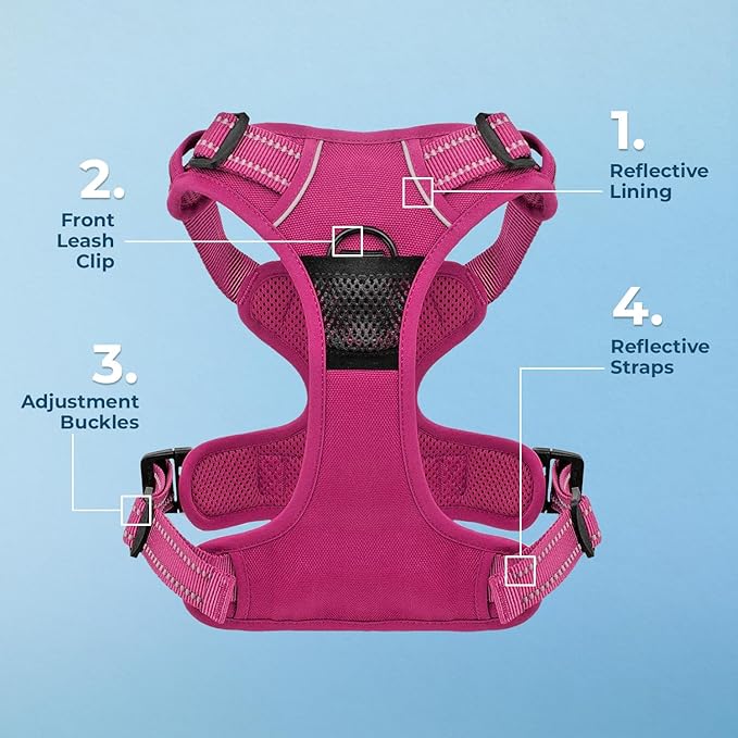 Dog Harness Dual Leash Attachment No-Pull Control Adjustable Soft but Strong Pet Harness for Medium and Large Dogs with 3M Reflective Technology - Harness Leash Set (Fuchsia), L