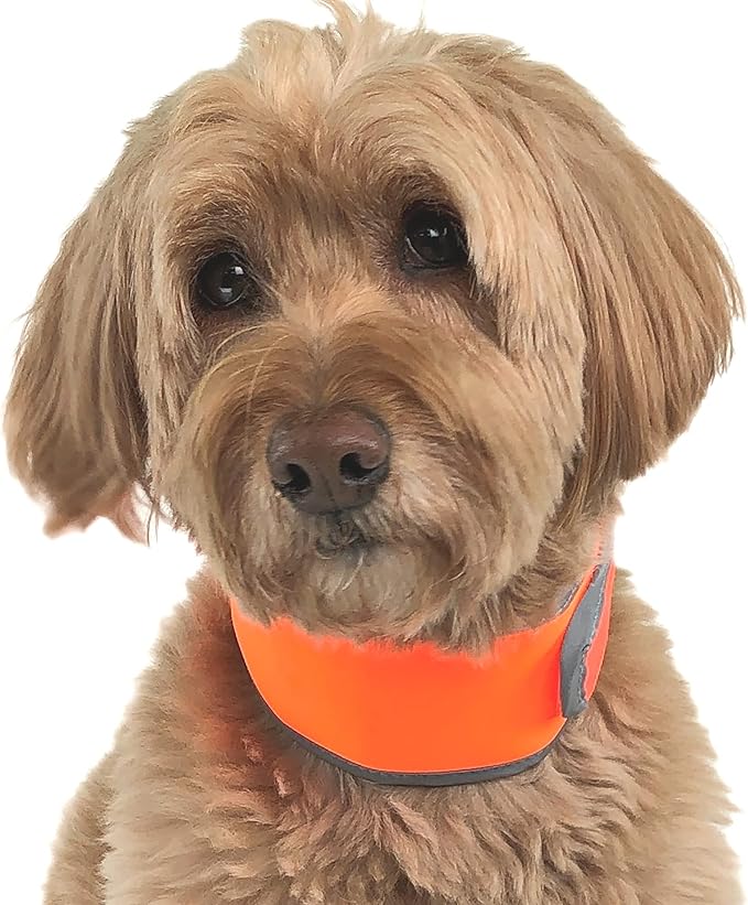 Hi-Vis Dog Cooling Collar - Orange Reflective Re-Freezable Ice Collar (Medium)