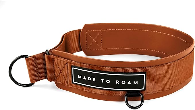 MADE TO ROAM Premium Everyday Dog Collar - Martingale Style No Pull Vegan Leather Collar, Heavy Duty and Lightweight for Small, Medium, Large Dogs (Nevada Evening, Size 2)