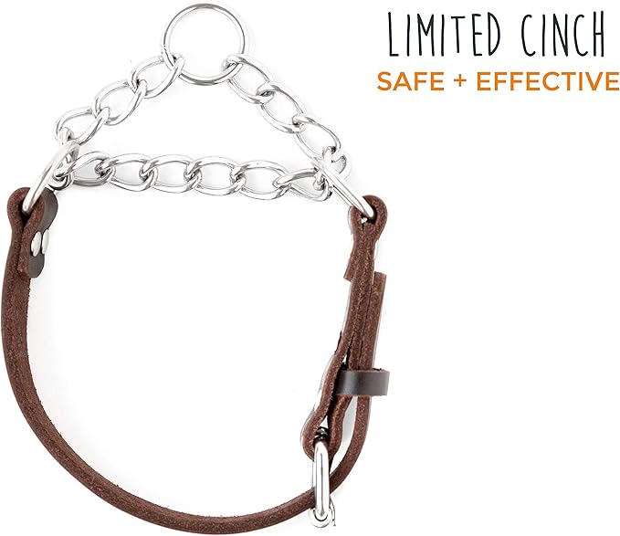 Mighty Paw Martingale Dog Collar - No Pull Design - Stainless Steel Chain - Limited Chain Cinch Training - Brown Leather Martingale Training Collar - Small Size