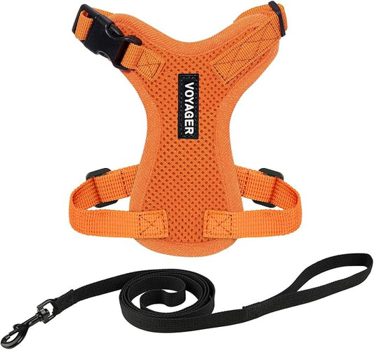 Voyager Step-in Lock Adjustable Cat Harness w. Cat Leash Combo Set with Neoprene Handle 5ft - Supports Small, Medium and Large Breed Cats by Best Pet Supplies - Orange, XS