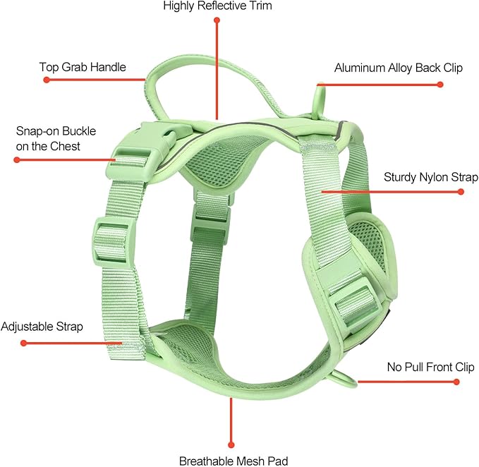 Petmolico Dog Harness for Small Dogs, Cute Harness Vest with Two Leash Clips and Soft Handle, Reflective Easy Walk Puppy Vest - Mint Green, Small