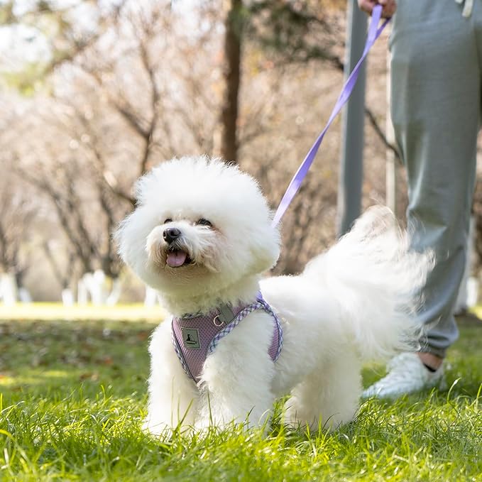 Dog Harness and Leash Set - No Pull Soft Breathable Small Dog Harness, Adjustable Reflective Step in Vest for Puppy, Kitten, Cats