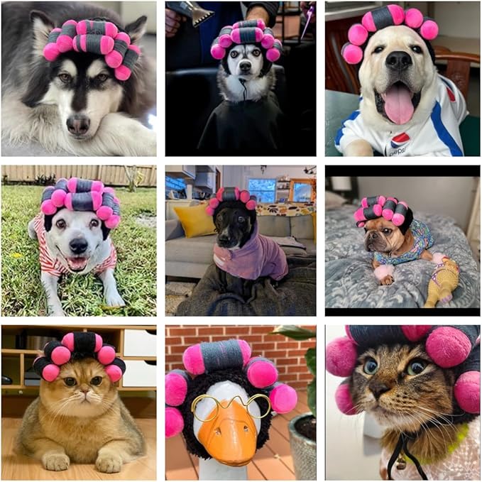 Funny Dog Curler Wig Costume & Glasses - Adjustable, Soft & Warm Pet Wig for Small, Medium & Large Dogs & Cats - Perfect for Halloween, Christmas & Parties (Fits Pet Head Circumference 6-27 Inch)