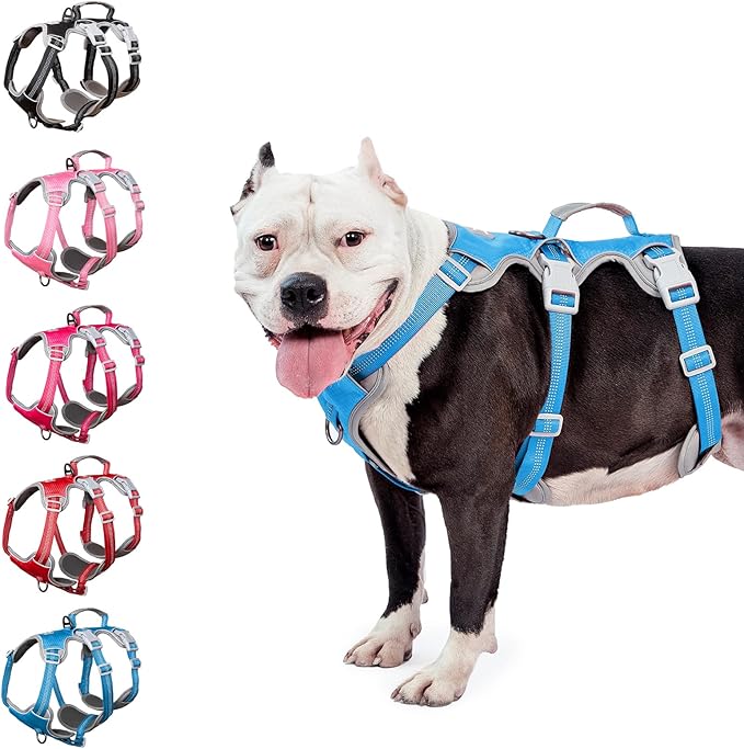 Escape Proof Harness for Dogs, No Escape Dog Harness, No Pull Dog Harness for Large Dogs with Handle, Reflective, Breathable, Durable, Adjustable Vest for Walking, and Running Gear (Blue, L)