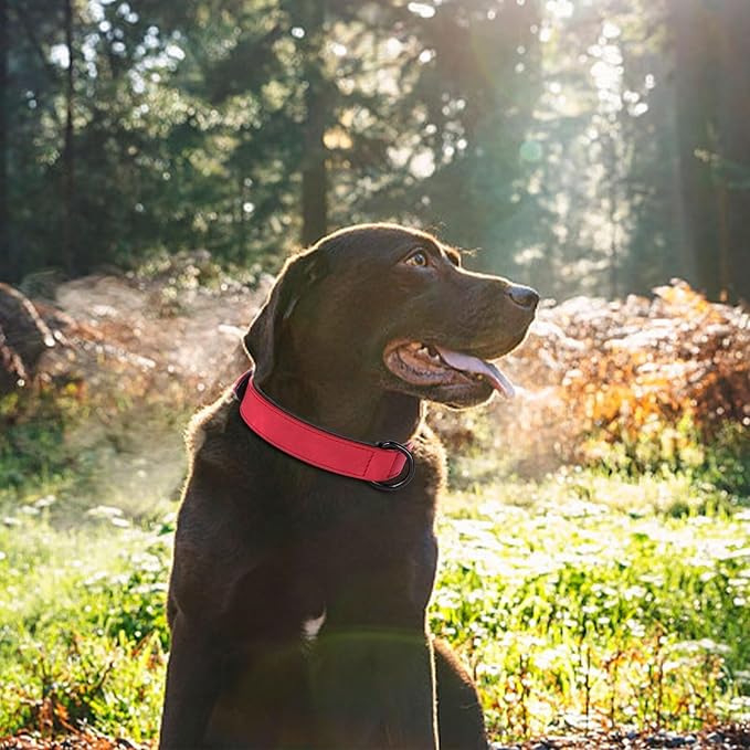 Didog Soft Padded Leather Dog Collar, Breathable Heavy Duty Dog Collar Faux Leather with Adjustable Rust-Proof Metal Buckle for Small Medium Large Dogs, Red Dog Collar, M Fit Neck 12-15"(13-22 lbs)