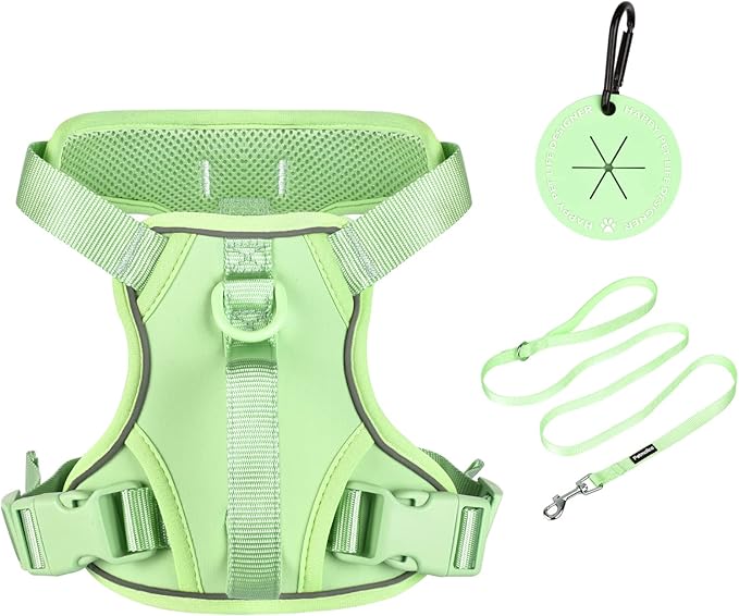 Petmolico Dog Harness for Small Dogs, Cute Harness Vest with Two Leash Clips and Soft Handle, Reflective Easy Walk Puppy Vest - Mint Green, Small