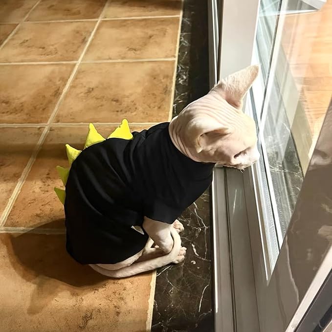 Dinosaur Design Sphynx Hairless Cat Clothes Cute Breathable Summer Cotton Shirts Cat Costume Pet Clothes,Round Collar Kitten T-Shirts with Sleeves, Cats & Small Dogs Apparel (M (5-6.5 lbs), Black)