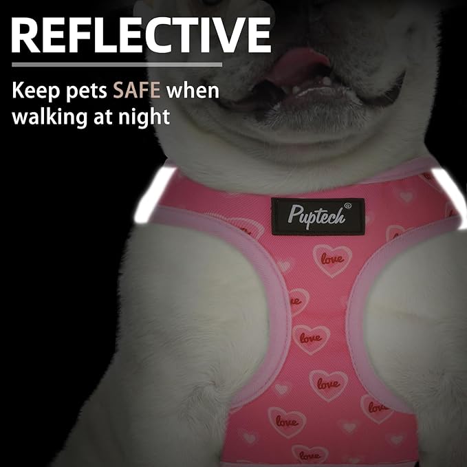 PUPTECK Dog Harness and Leash Set for Small Medium Dogs No Pull Step-in Soft Mesh Puppy Cat Vest Harnesses Reflective at Night Valentine, Light Pink, S