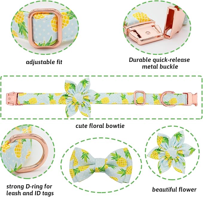 Dog Collar and Leash Set Girls Adjustable Puppy Collars with Fruit Bow Tie for Small Medium Large Female Dogs, Pineapple, XS