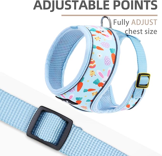 PUPTECK Soft Mesh Dog Harness and Leash Set Pet Puppy Cat Comfort Padded Vest No Pull Harnesses, Easter Blue, S