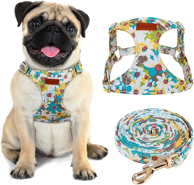 CHEDE No Pull Floral Pattern Dog Harness- Lightweight and Soft Dog Harness, Adjustable Small Dog Harness and Leash Set, with Dog Leash, Suitable for Puppy Small and Medium-Sized Dog