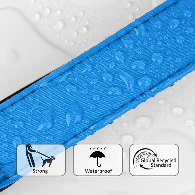 Didog Soft Padded Dog Collar for Large Dogs, Waterproof and Durable Pet Collar with Quick Release Buckle, Light and Breathable for Daily Walking,Blue,L(Neck15-23)