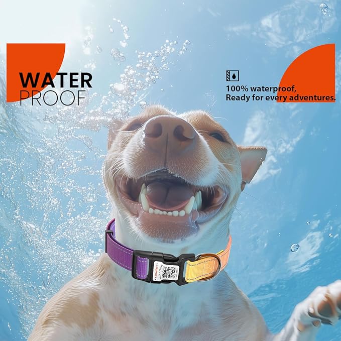 Reflective Dog Collars for Puppy Soft Nylon Purple-Yellow Gradient Sized XS