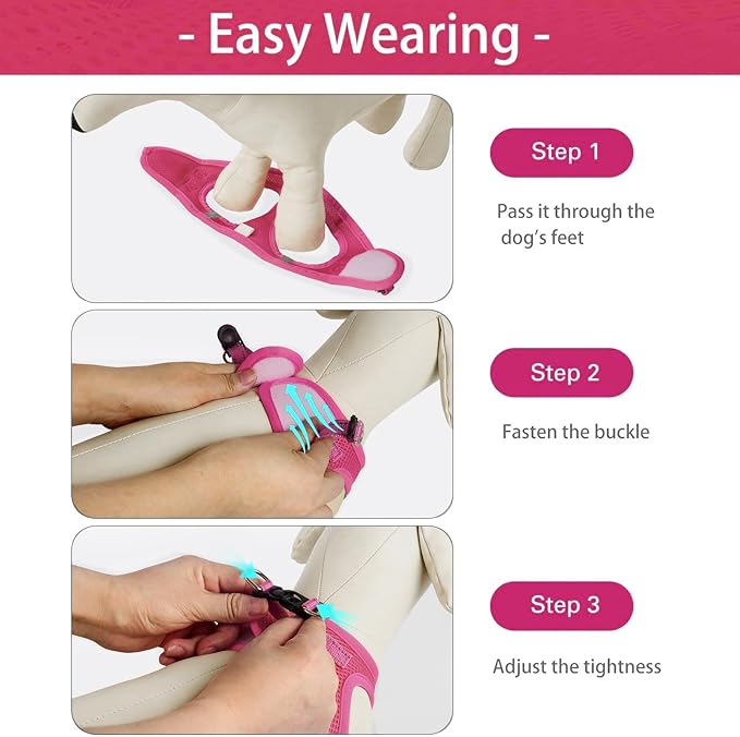 Dog Harness for Small Dogs Harness and Leash Set, Honeycomb Grid, Reflective Lightweight Harness & Anti-Twist Pet Lead (Multi Color, Size: XS-S-M) (XS, Rose red)