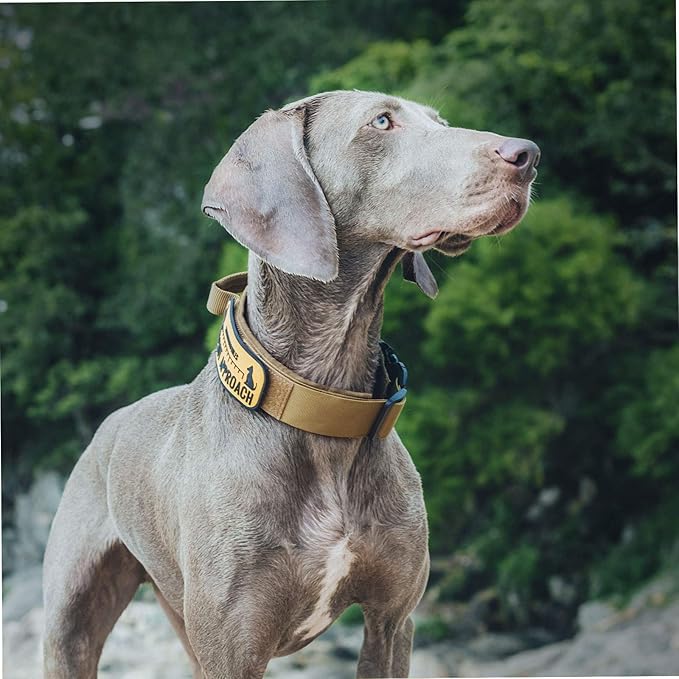 OneTigris Tough Dog Collars, Tactical Dog Collar with Handle, Milltary Adjustable Dog Collar with Heavy Duty Metal Buckle for Training (Medium (Pack of 1), Brown)