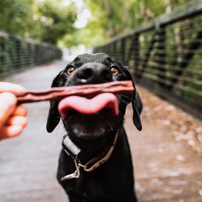 Happy Howie's Beef Woof Stix - Flavorful Slow Cooked Beef Stick, Natural Ingredients, Healthy Soft Dog Treats, Hormone Free - 80 Count (Pack of 1)