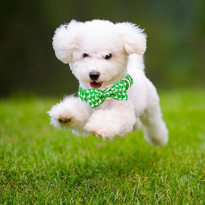 Dog Collar Green Gooses Pet Collar Summer Collars Holiday Pet Collars Girl or Boy Adjustable Puppy Collars for Medium Dogs