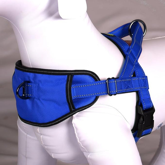 Max and Neo Passport Reflective Dog Harness - We Donate a Harness to a Dog Rescue for Every Harness Sold (X-Large, Blue)