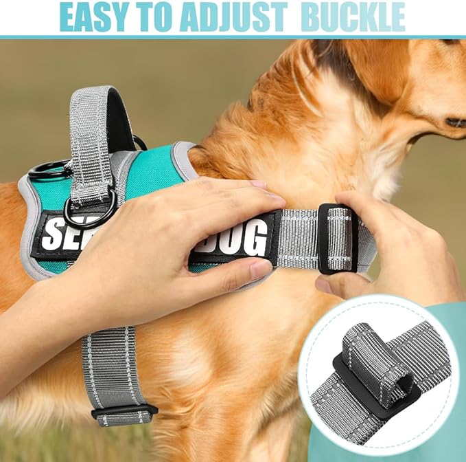 Dog Vest Harness and Leash Set, Animire Reflective Service Dog Vest in Training Dog Harness with 10 Patches, 3 Rings Emotional Support Therapy Dog Harness for Small Medium Large Dogs(Teal,L)