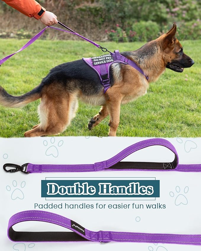Reflective Purple Service Dog in Training Vest Harness Leash Set for Medium Dogs, Adjustable Heavy Duty Padded Dog Harness, with Front Clip and Metal Buckles Do Not Pet for Training, Hiking