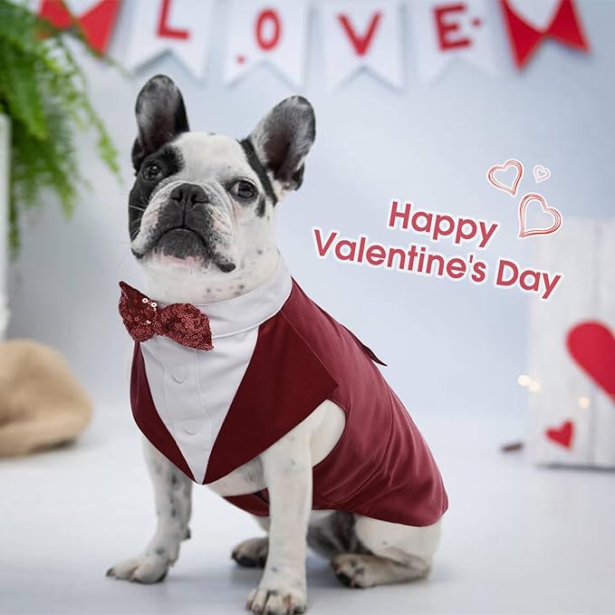 Kuoser Dog Tuxedo Dog Suit and Bandana Set, Dogs Tuxedo Wedding Party Suit, Doggy Prince Bow Tie Shirt Formal Pet Wedding Attire for Large Medium and Small Dogs Golden Retriever Samo Bulldogs