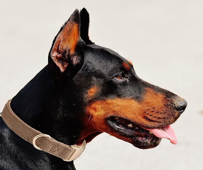 Soft Dog Collar with Metal Buckle Adjustable Durable Comfort Cotton Corduroy Collars for Large Medium Small Dogs Velvet Dog Collars, Coffee