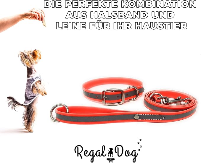 Regal Dog Products Large Orange Reflective Dog Collar and Leash Set - Waterproof Biothane Dog Collar with Heavy Duty Double Buckle, D Ring & 5ft Leash - Other Size for Medium & Large Dogs