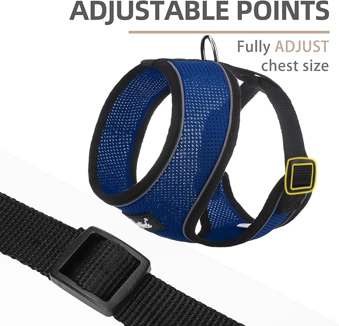 PUPTECK Soft Mesh Dog Harness and Leash Set Pet Puppy Cat Comfort Padded Vest No Pull Harnesses, Solid NavyBlue, S