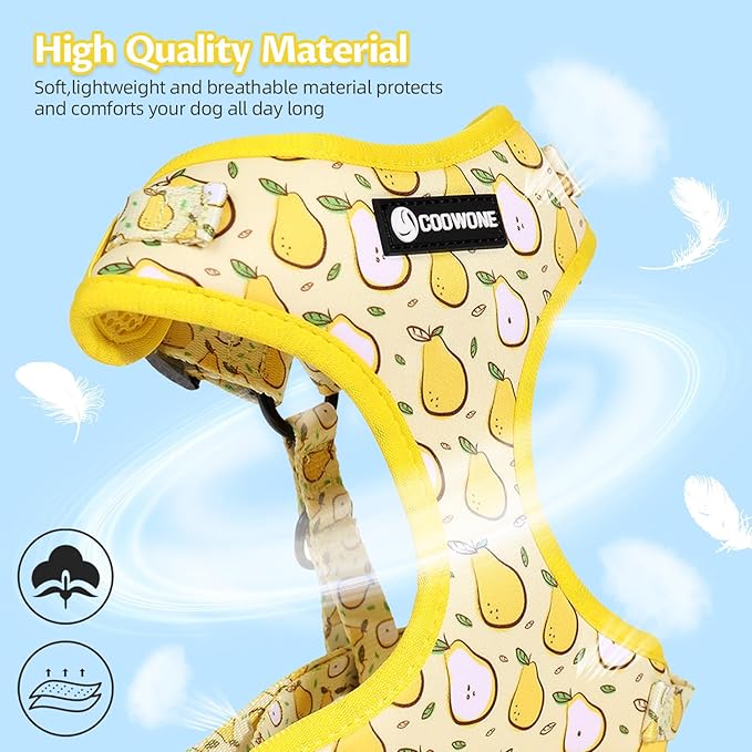 Dog Harness and Leash Set, Adjustable Dog Harness, Dog Leash, No Pull No Choke Puppy Harnesses for Walking Training for Small, Medium, Large Pet