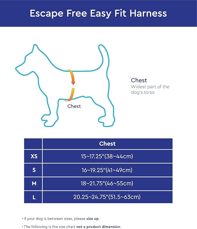 Gooby Escape Free Easy Fit Harness - Blue, Small - No Pull Step-in Patented Small Dog Harness with Quick Release Buckle - Perfect On The Go No Pull Harness for Small Dogs or Medium Dog Harness