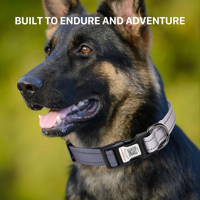 Reflective Dog Collars for Medium Dogs Soft Nylon Black-Gray Gradient Sized M